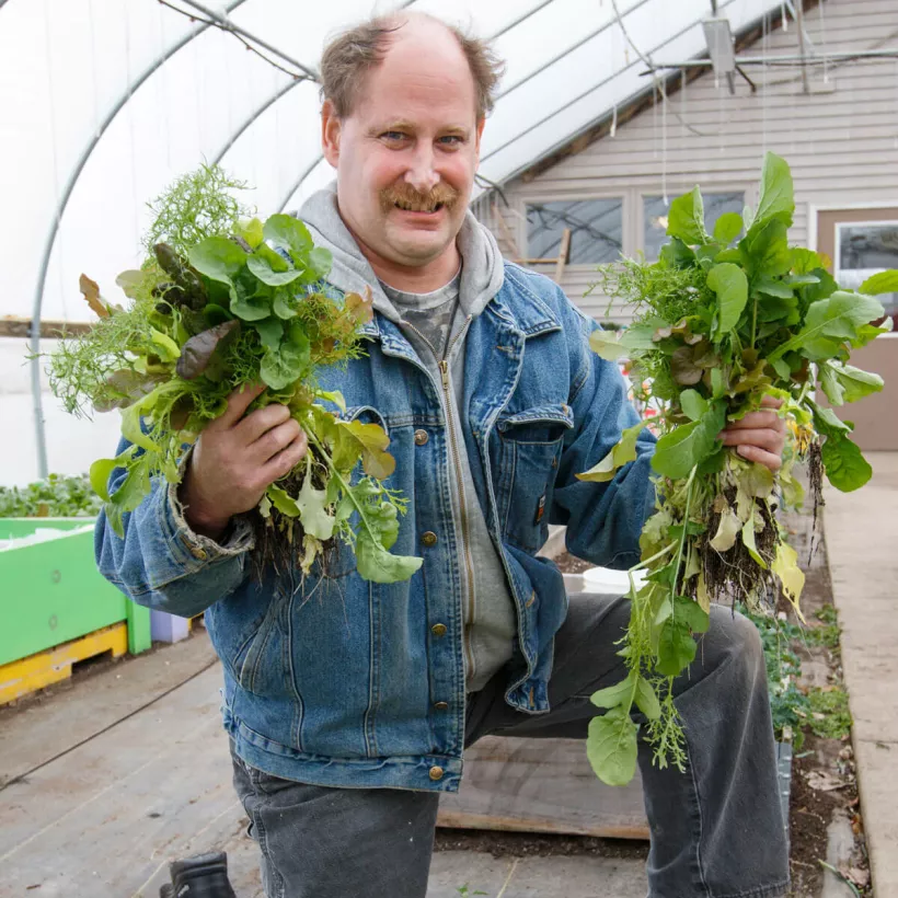 Person Holding Plants